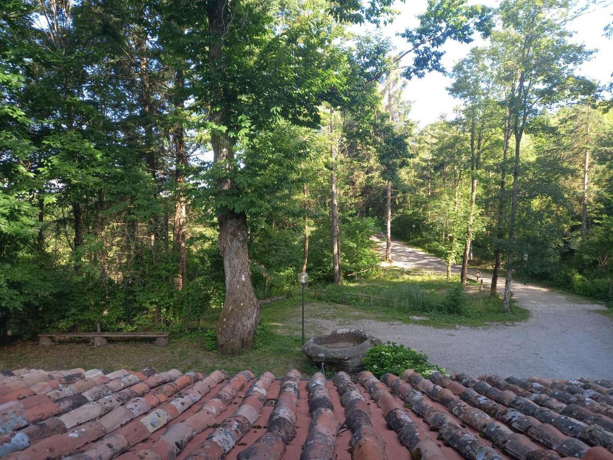 Agriturismo Fonte Magria Abbadia San Salvator Extérieur photo